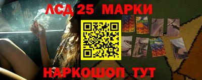 дживик Новозыбков