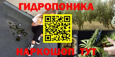 индика Новокубанск