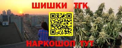 прущие грибы Новодвинск
