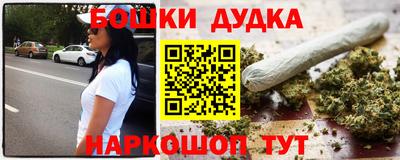индика Новокубанск