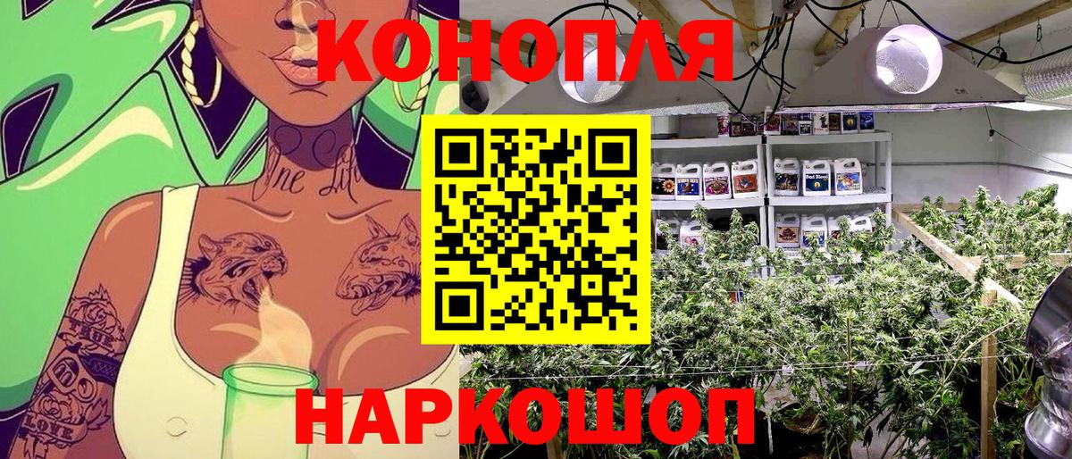 Конопля семена  Шишки марихуана VHQ  Вход с VPN  Марихуана конопля  Рубцовск 